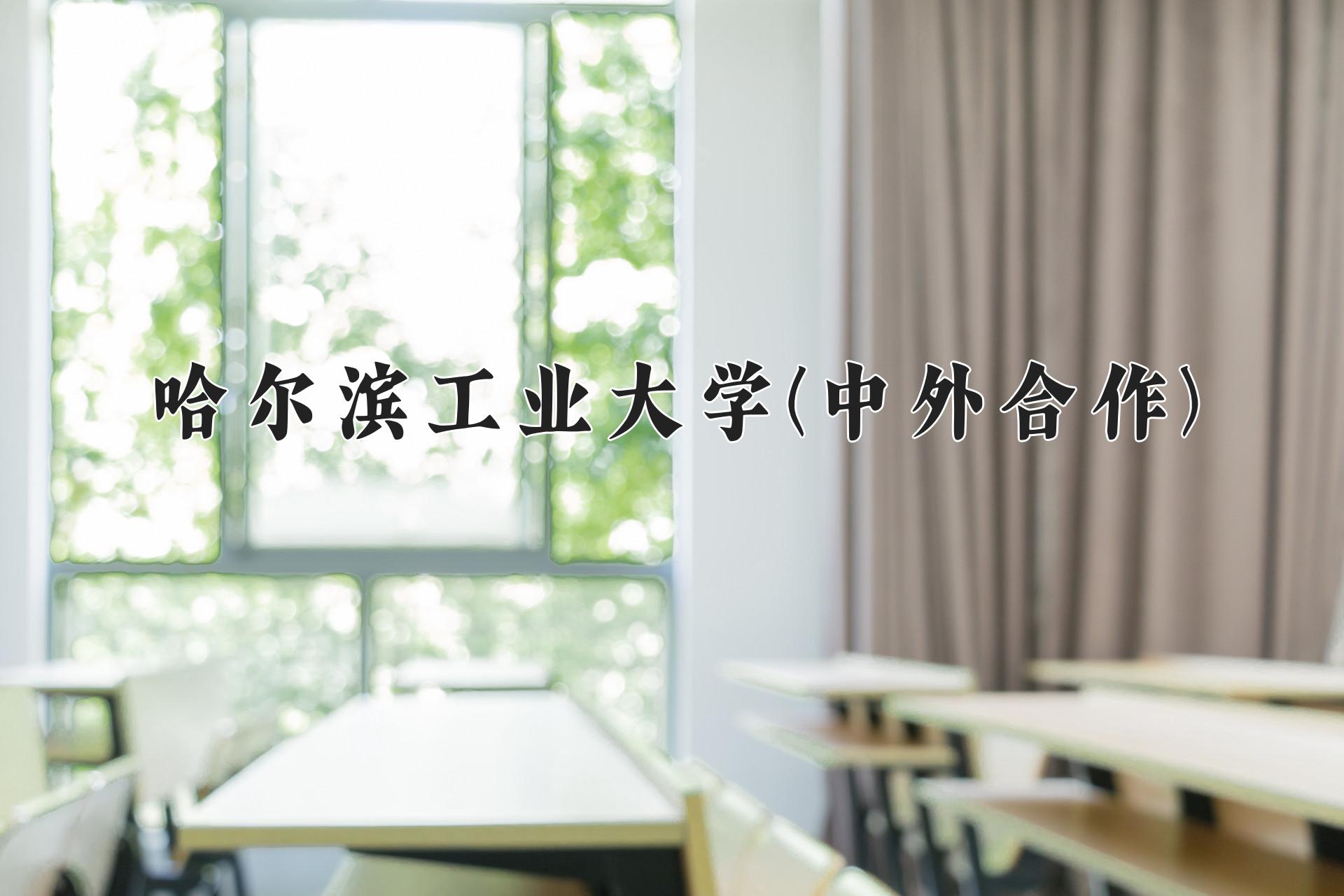 哈尔滨工业大学(中外合作)