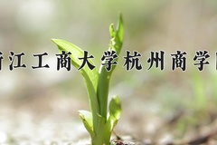 2024年浙江工商大学杭州商学院在河南计划招生人数（附学费及专业录取分)