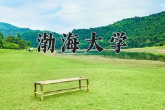 2024年渤海大学在河南计划招生人数（附学费及专业录取分)