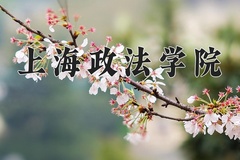 2024年上海政法学院在河南计划招生人数（附学费及专业录取分)
