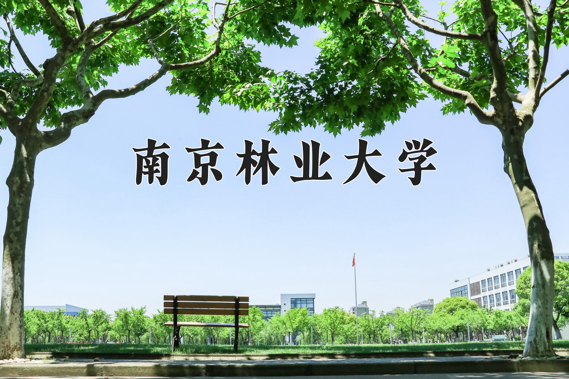 南京林业大学