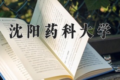 2024年沈阳药科大学在河南计划招生人数（附学费及专业录取分)