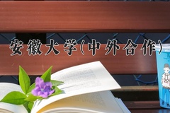 2024年安徽大学(中外合作)在四川计划招生人数（附学费及专业录取分)