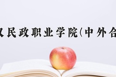 2024年武汉民政职业学院(中外合作)在四川计划招生人数（附学费及专业录取分)