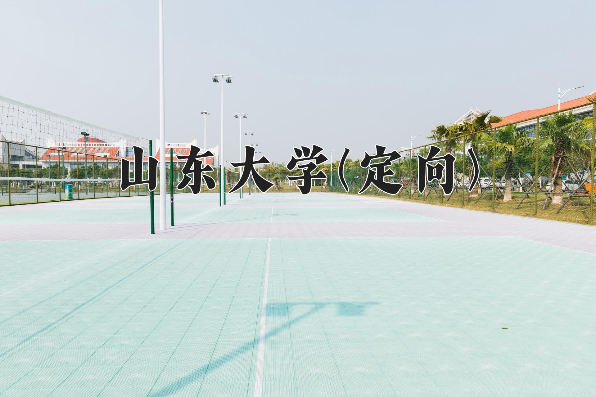 山东大学(定向)