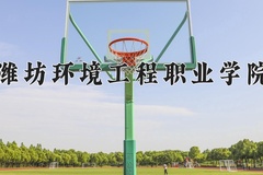 2024年潍坊环境工程职业学院在河南计划招生人数（附学费及专业录取分)