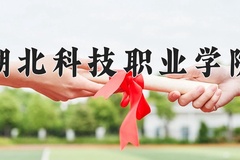 2024年湖北科技职业学院在四川计划招生人数（附学费及专业录取分)