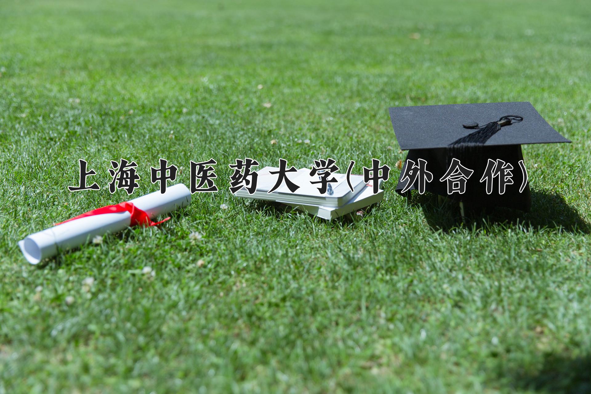 上海中医药大学(中外合作)