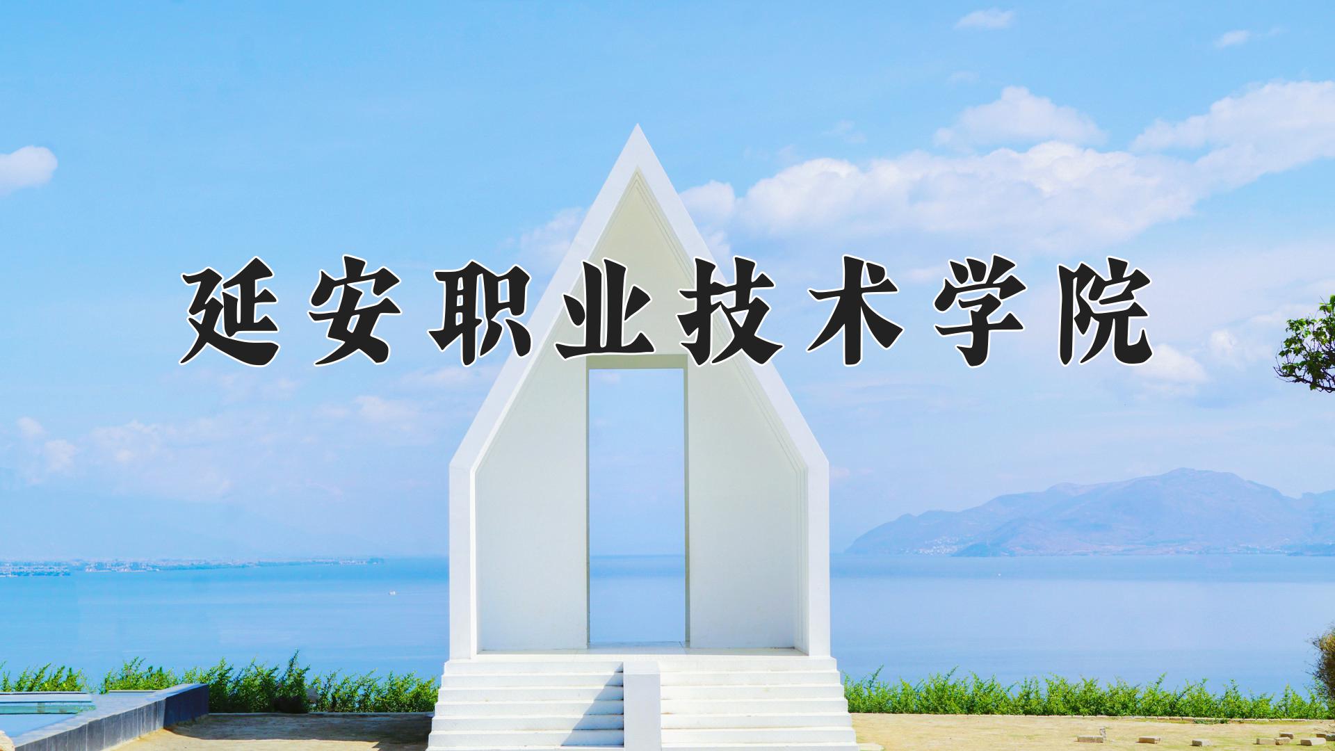 延安职业技术学院