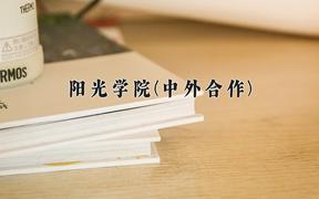 2024年阳光学院(中外合作)在四川计划招生人数（附学费及专业录取分)