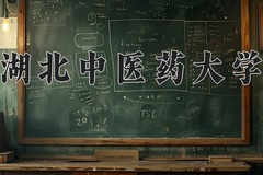 2024年湖北中医药大学在四川计划招生人数（附学费及专业录取分)