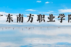 2024年广东南方职业学院在四川计划招生人数（附学费及专业录取分)