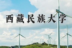 2024年西藏民族大学在河南计划招生人数（附学费及专业录取分)