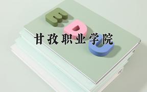 2024年甘孜职业学院在四川计划招生人数（附学费及专业录取分)