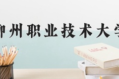 2024年柳州职业技术大学在河南计划招生人数（附学费及专业录取分)