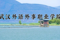 2024年武汉外语外事职业学院在四川计划招生人数（附学费及专业录取分)