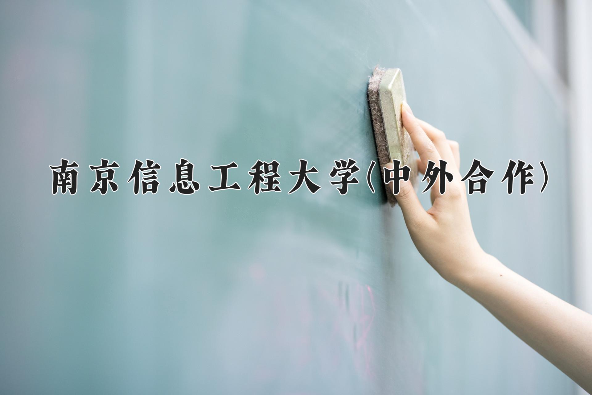 南京信息工程大学(中外合作)