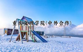 2024年重庆文理学院(中外合作)在四川计划招生人数（附学费及专业录取分)