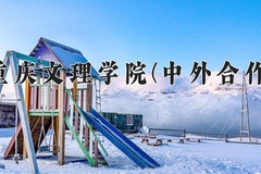2024年重庆文理学院(中外合作)在四川计划招生人数（附学费及专业录取分)