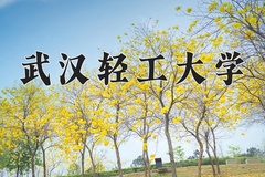 2024年武汉轻工大学在四川计划招生人数（附学费及专业录取分)