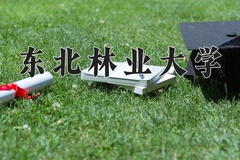 2024年东北林业大学在四川计划招生人数（附学费及专业录取分)