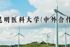 2024年昆明医科大学(中外合作)在四川计划招生人数（附学费及专业录取分)