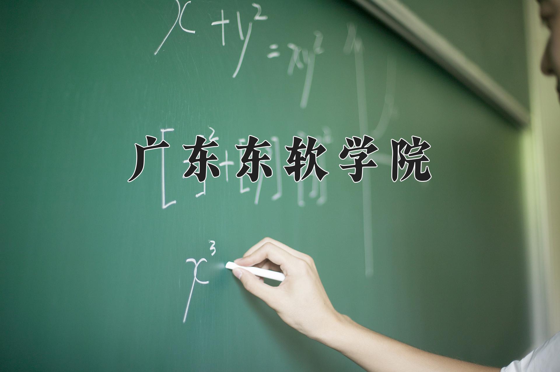 广东东软学院