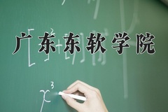2024年广东东软学院在河南计划招生人数（附学费及专业录取分)