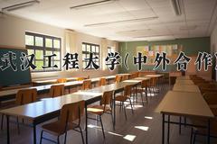 2024年武汉工程大学(中外合作)在四川计划招生人数（附学费及专业录取分)