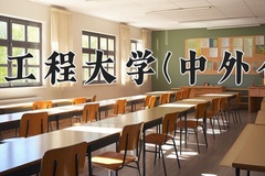 2024年武汉工程大学(中外合作)在四川计划招生人数（附学费及专业录取分)