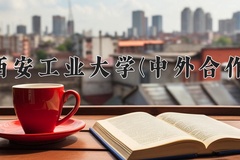2024年西安工业大学(中外合作)在四川计划招生人数（附学费及专业录取分)