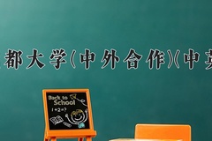 2024年成都大学(中外合作)(中英)在四川计划招生人数（附学费及专业录取分)