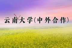 2024年云南大学(中外合作)在四川计划招生人数（附学费及专业录取分)