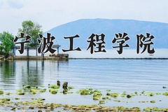 2024年宁波工程学院在河南计划招生人数（附学费及专业录取分)