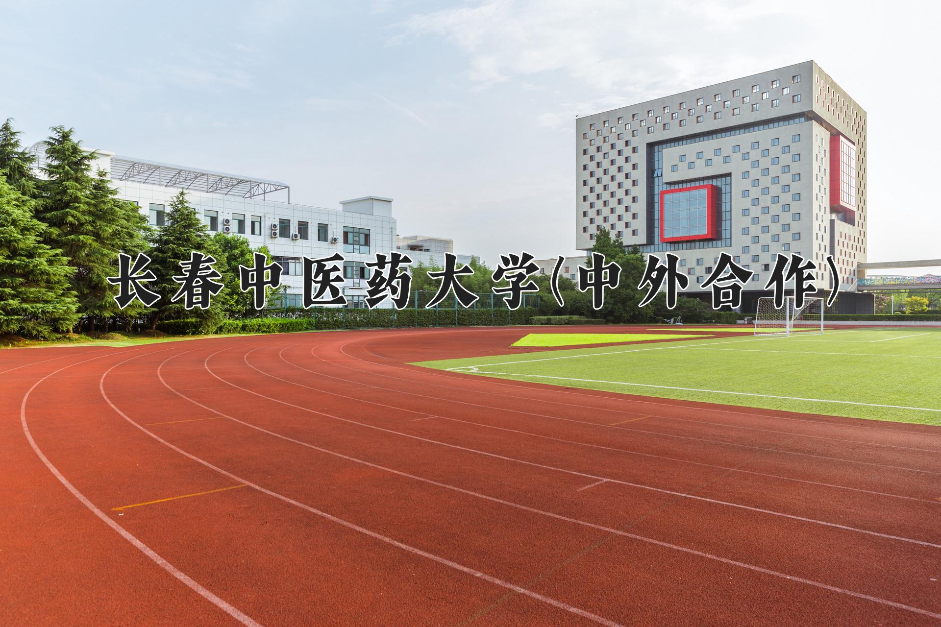 长春中医药大学(中外合作)