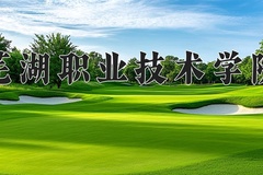 2024年芜湖职业技术学院在河南计划招生人数（附学费及专业录取分)