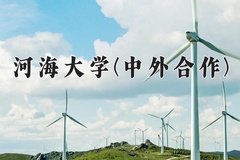 2024年河海大学(中外合作)在四川计划招生人数（附学费及专业录取分)