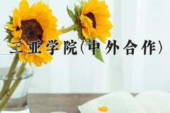 2024年三亚学院(中外合作)在四川计划招生人数（附学费及专业录取分)