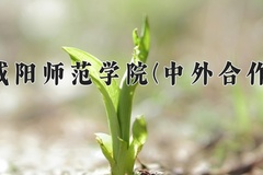 2024年咸阳师范学院(中外合作)在四川计划招生人数（附学费及专业录取分)
