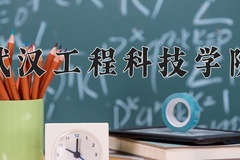 2024年武汉工程科技学院在河南计划招生人数（附学费及专业录取分)