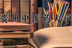 2024年贵州中医药大学在河南计划招生人数（附学费及专业录取分)