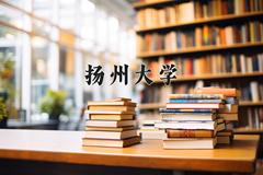 2024年扬州大学在河南计划招生人数（附学费及专业录取分)