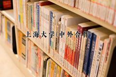 2024年上海大学(中外合作)在四川计划招生人数（附学费及专业录取分)