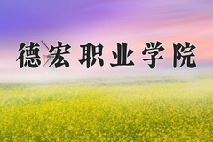 2024年德宏职业学院在河南计划招生人数（附学费及专业录取分)