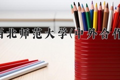 2024年西北师范大学(中外合作)在四川计划招生人数（附学费及专业录取分)