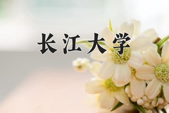 2024年长江大学在河南计划招生人数（附学费及专业录取分)