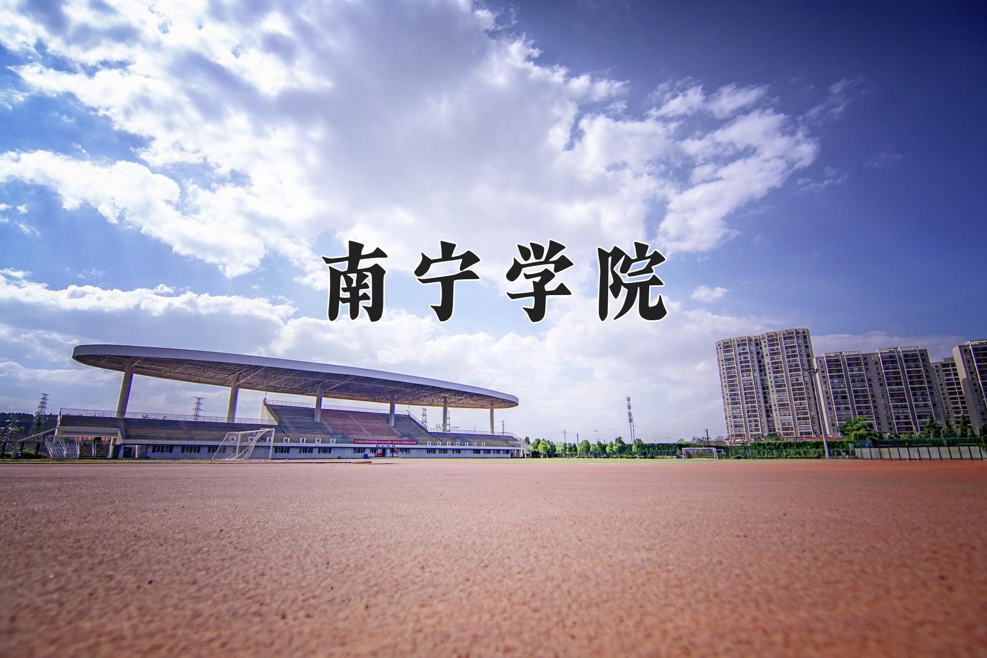 南宁学院