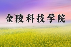 2024年金陵科技学院在四川计划招生人数（附学费及专业录取分)