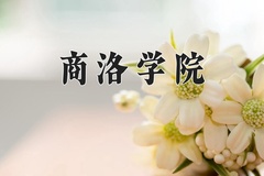 2024年商洛学院在新疆计划招生人数（附学费及专业录取分)