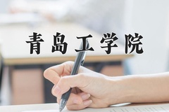 2024年青岛工学院在新疆计划招生人数（附学费及专业录取分)
